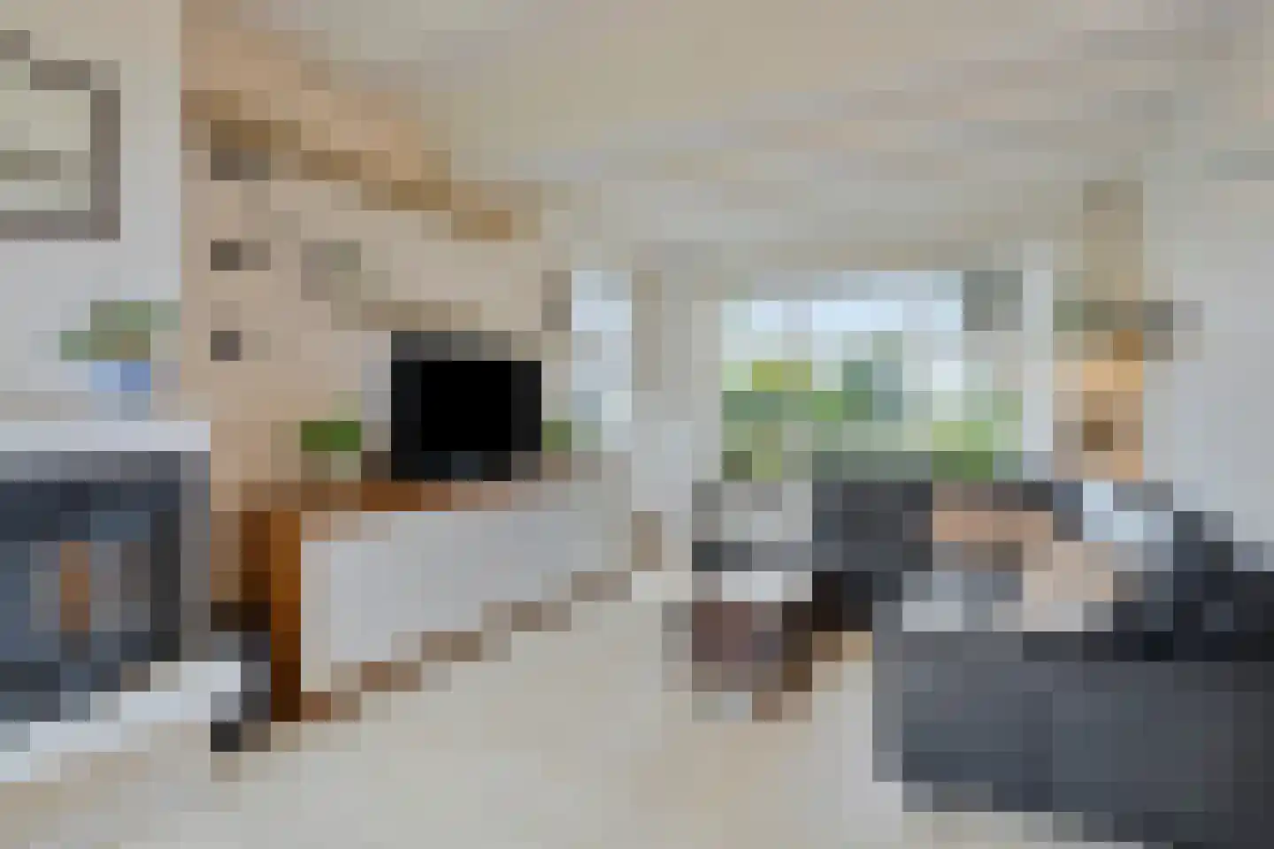 Sasdijk 8 Dinteloord thumbnail 18