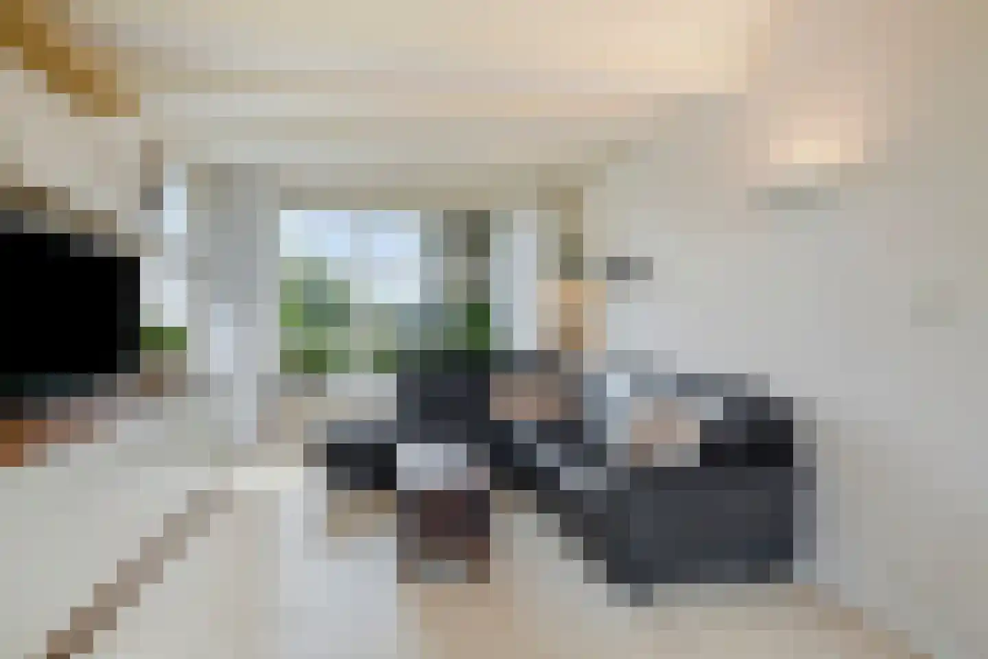 Sasdijk 8 Dinteloord thumbnail 19