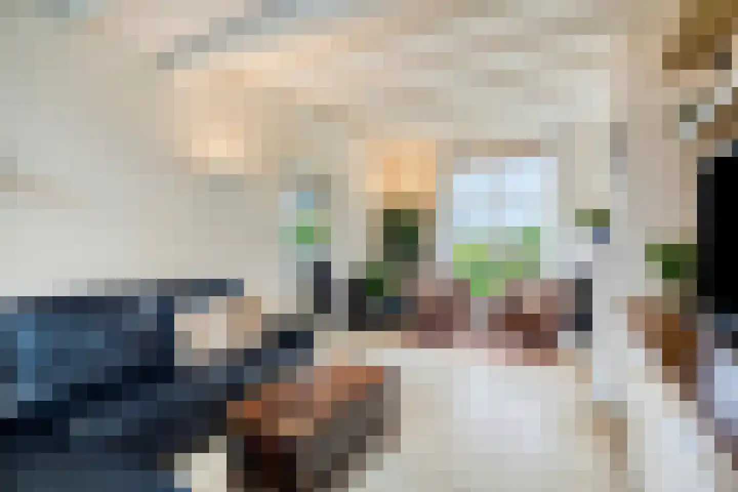 Sasdijk 8 Dinteloord thumbnail 20