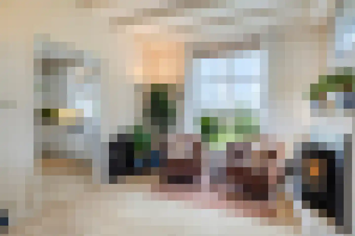 Sasdijk 8 Dinteloord thumbnail 21