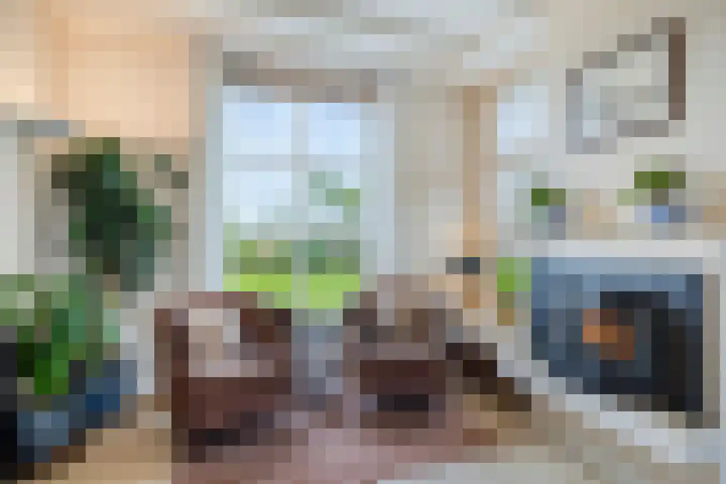 Sasdijk 8 Dinteloord thumbnail 22