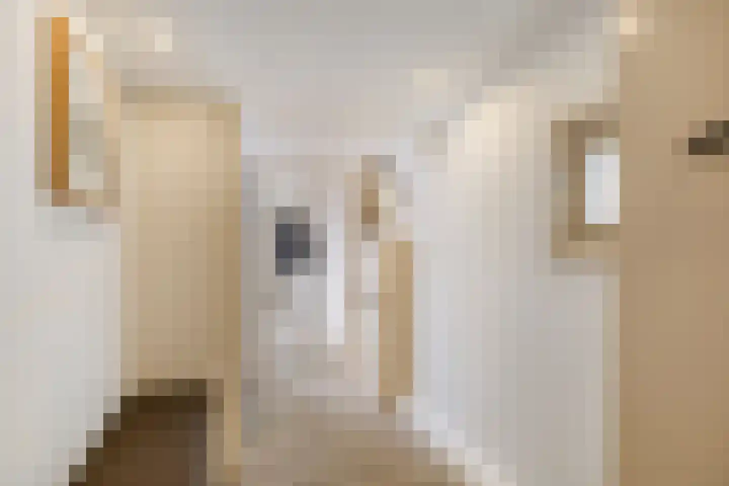 Sasdijk 8 Dinteloord thumbnail 24
