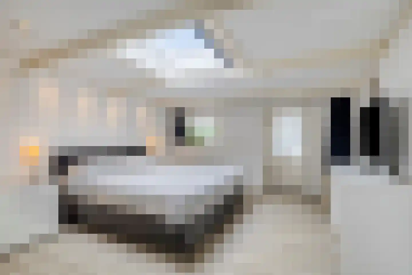 Sasdijk 8 Dinteloord thumbnail 26