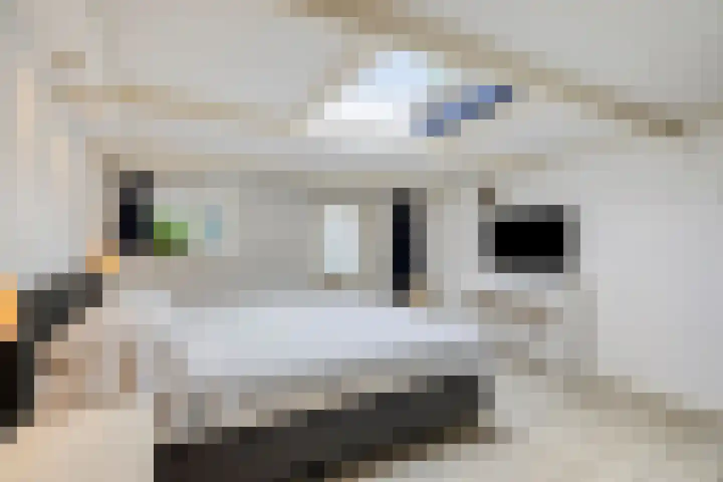 Sasdijk 8 Dinteloord thumbnail 27