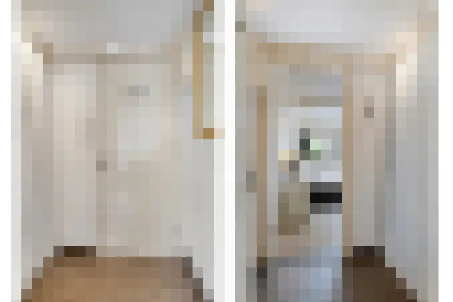 Sasdijk 8 Dinteloord thumbnail 29