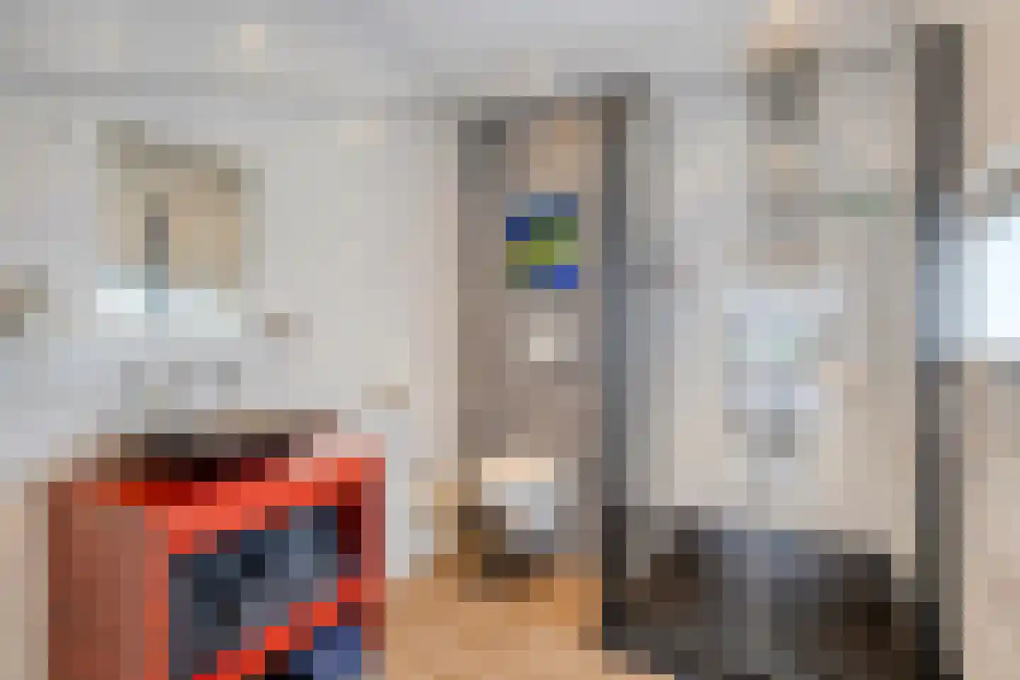 Sasdijk 8 Dinteloord thumbnail 30