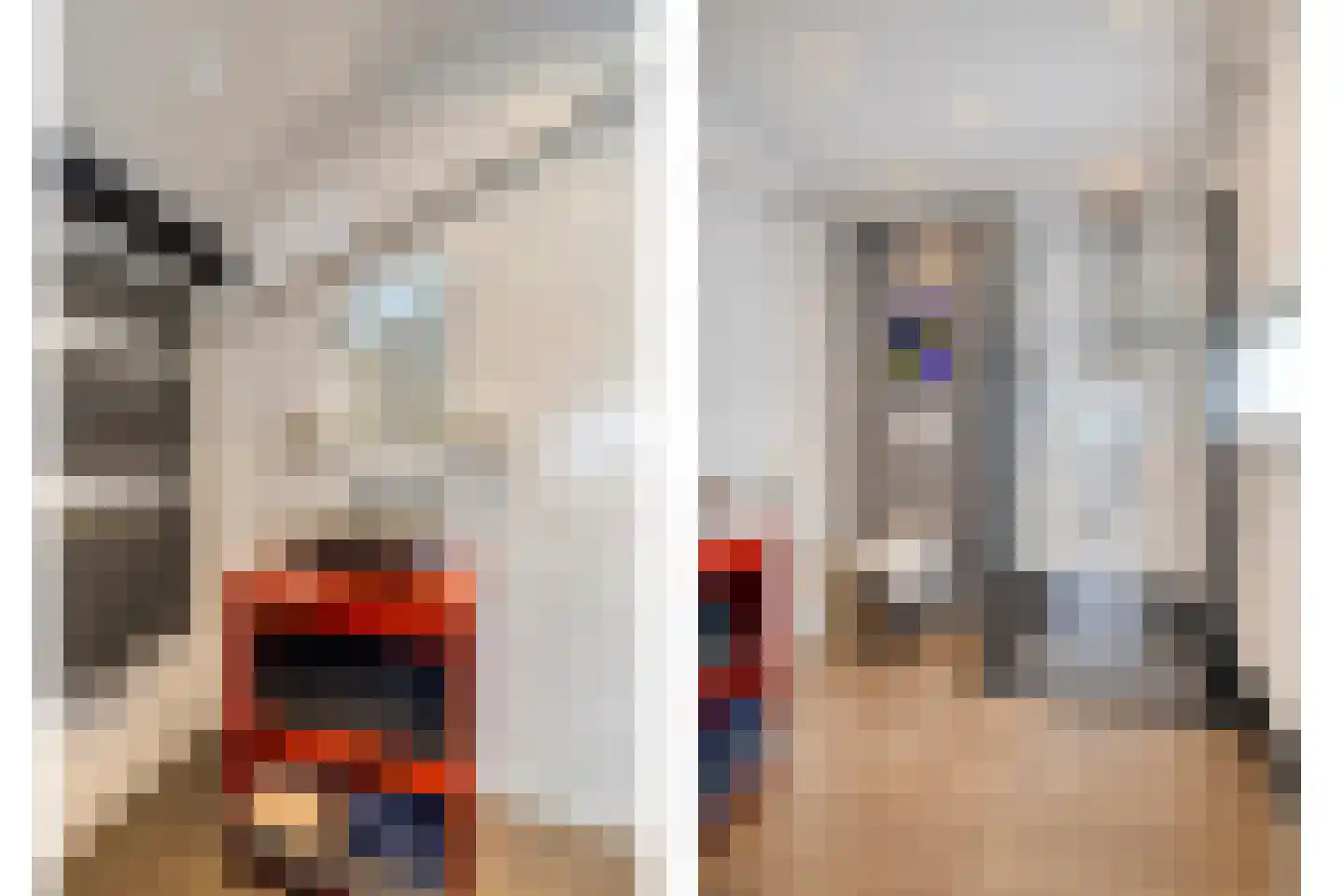 Sasdijk 8 Dinteloord thumbnail 31