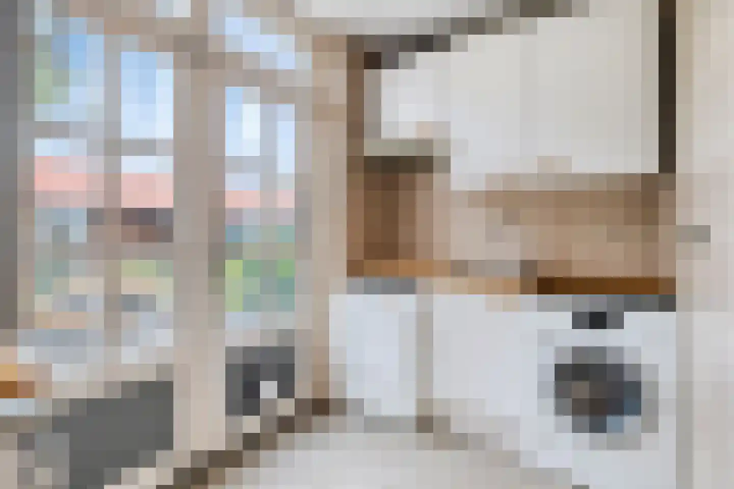 Sasdijk 8 Dinteloord thumbnail 32