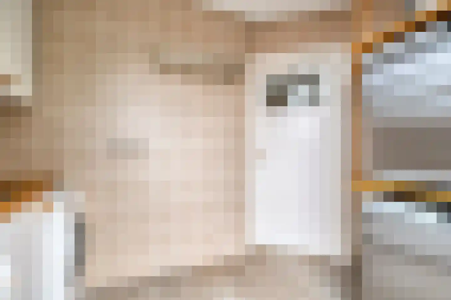 Sasdijk 8 Dinteloord thumbnail 33