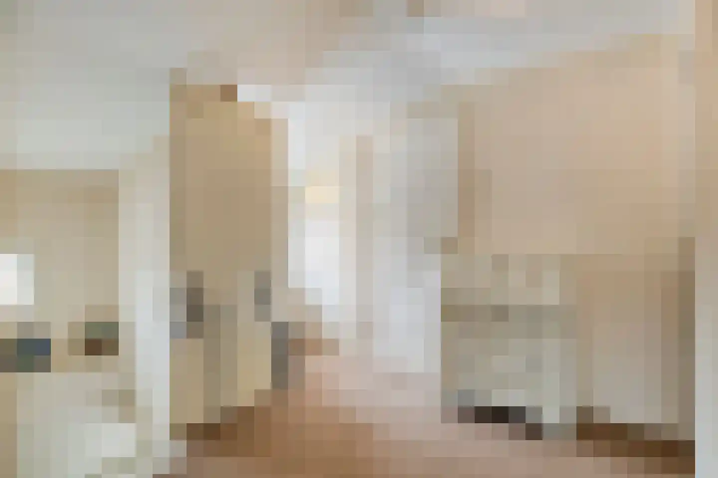 Sasdijk 8 Dinteloord thumbnail 34