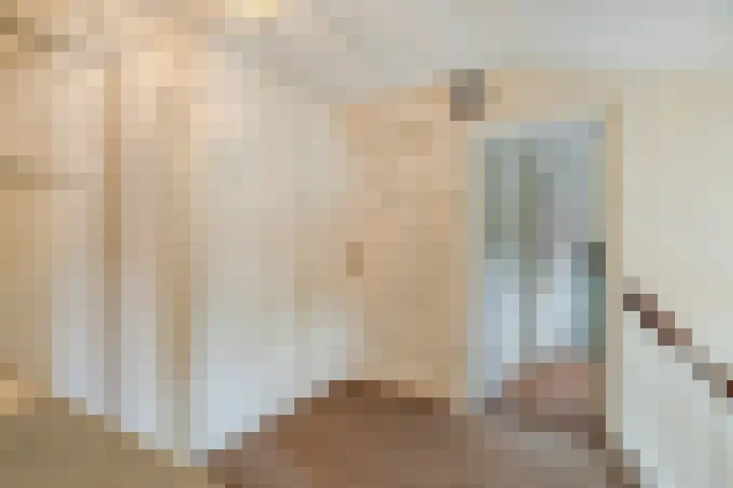 Sasdijk 8 Dinteloord thumbnail 35