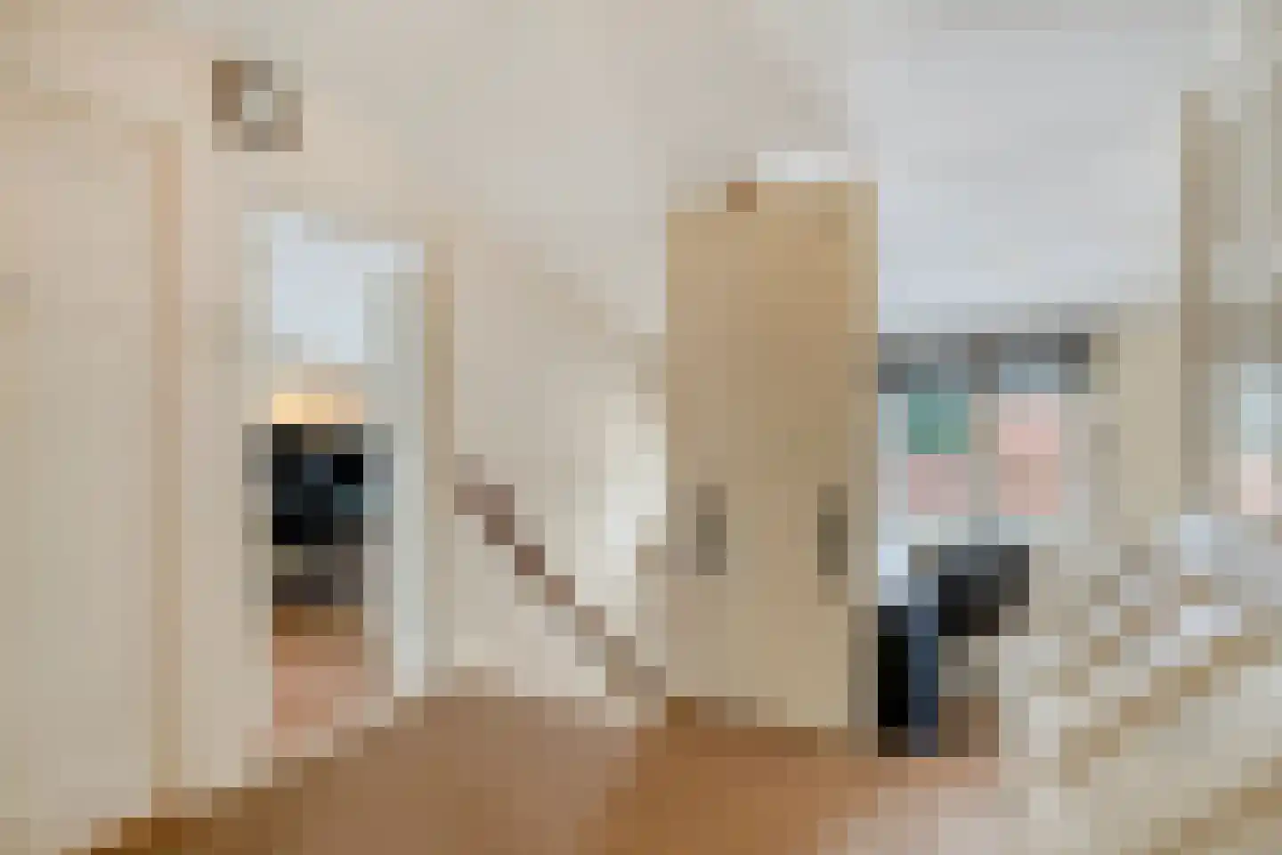 Sasdijk 8 Dinteloord thumbnail 36
