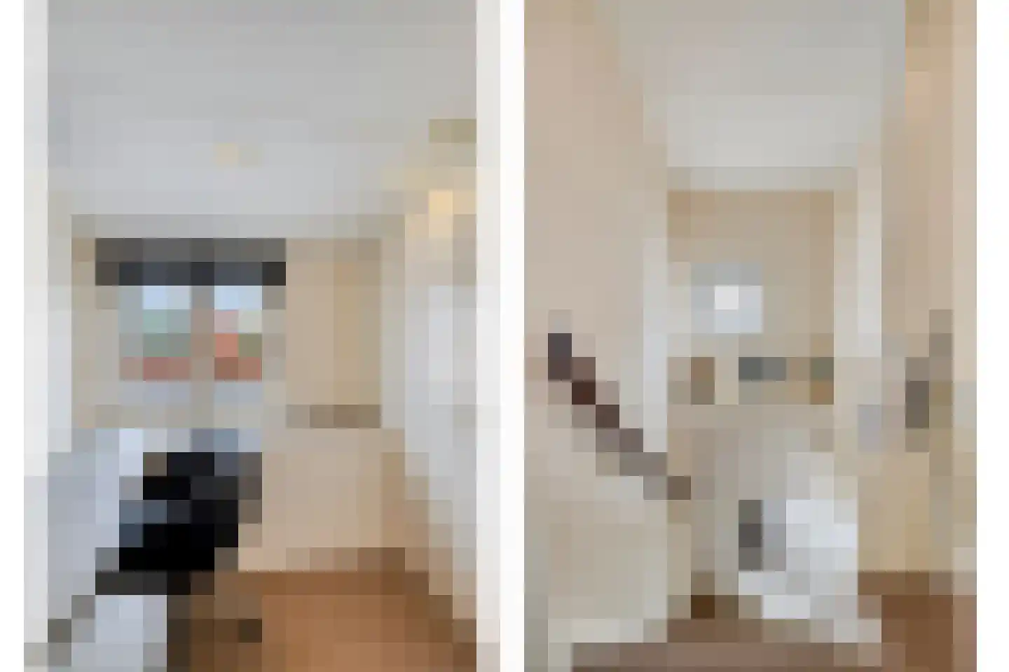 Sasdijk 8 Dinteloord thumbnail 37