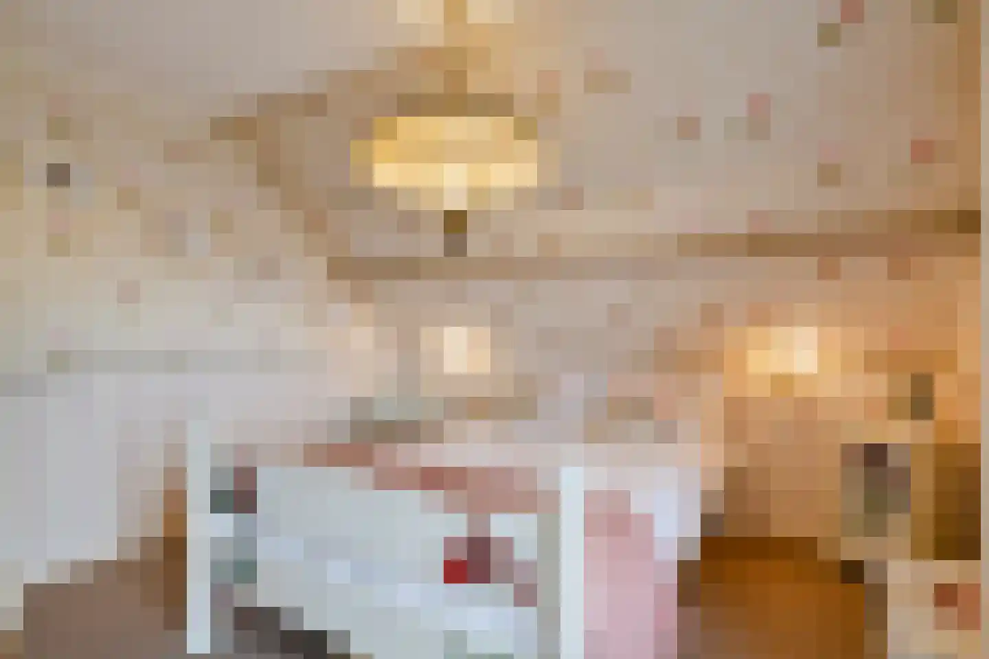 Sasdijk 8 Dinteloord thumbnail 39