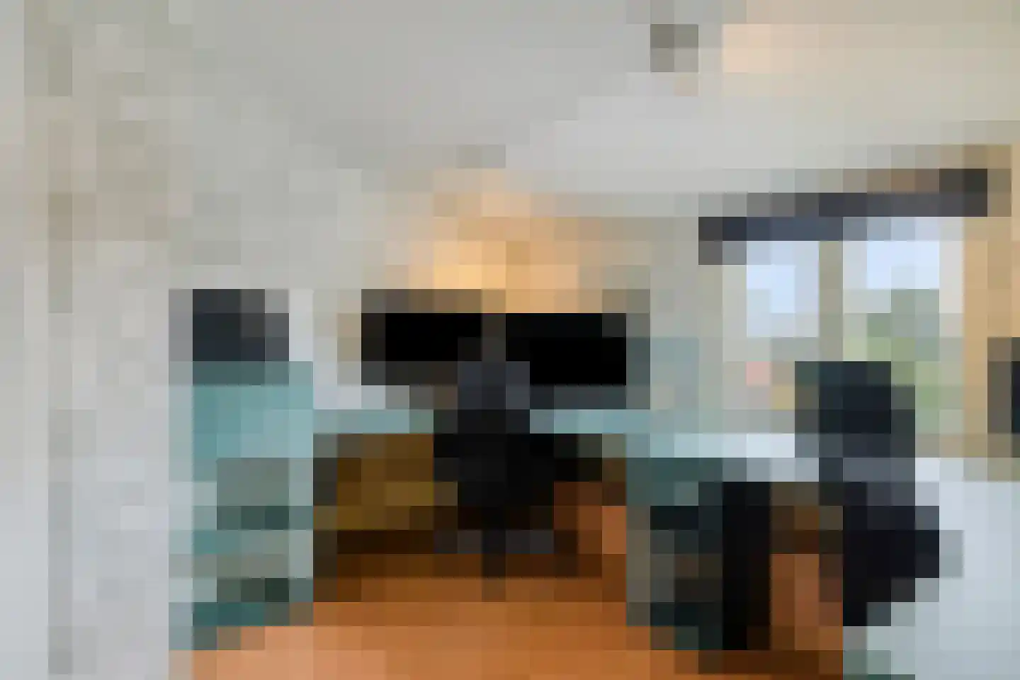 Sasdijk 8 Dinteloord thumbnail 40