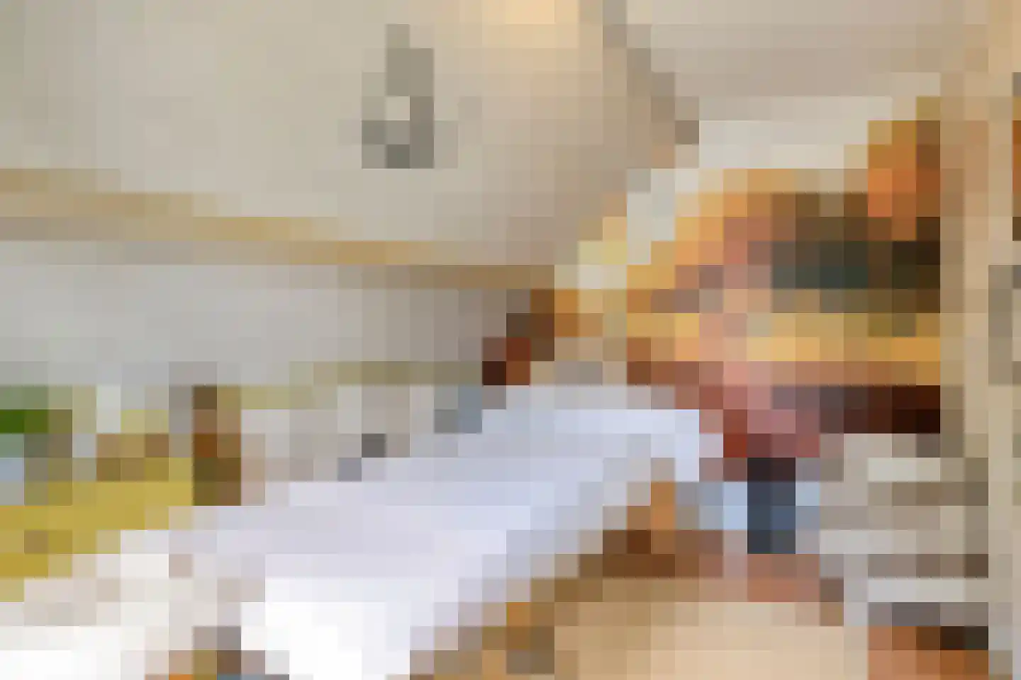 Sasdijk 8 Dinteloord thumbnail 44