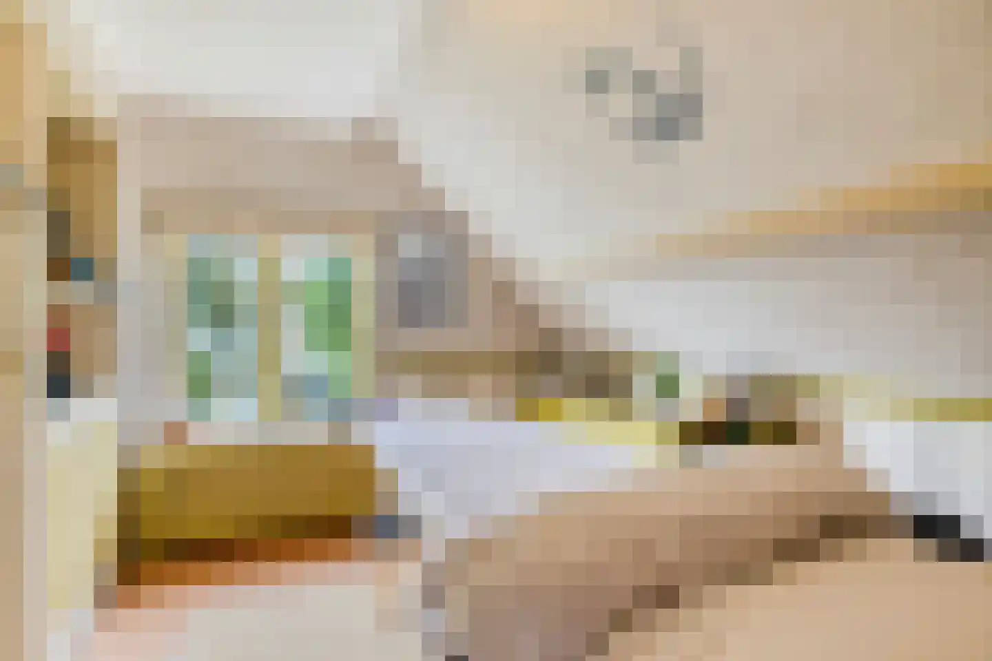 Sasdijk 8 Dinteloord thumbnail 45