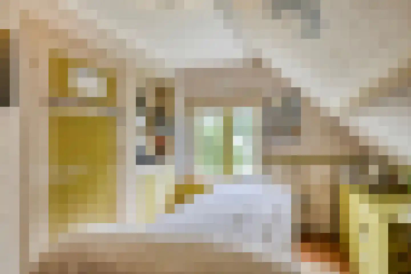 Sasdijk 8 Dinteloord thumbnail 46