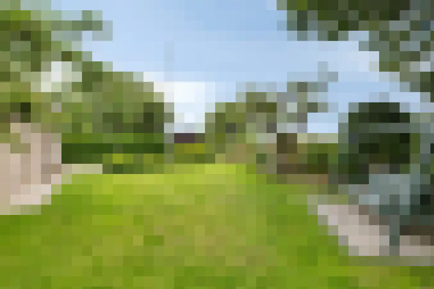 Sasdijk 8 Dinteloord thumbnail 47