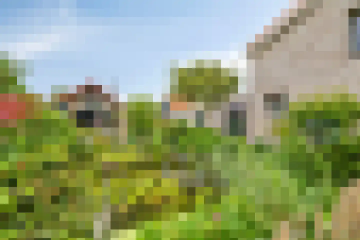 Sasdijk 8 Dinteloord thumbnail 48
