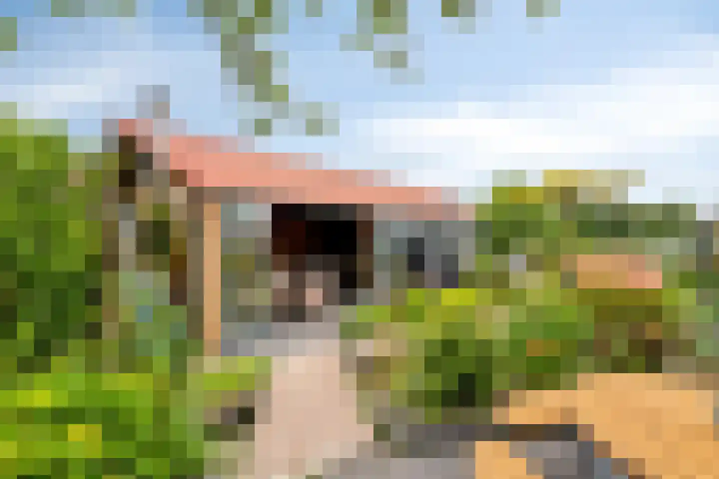 Sasdijk 8 Dinteloord thumbnail 52