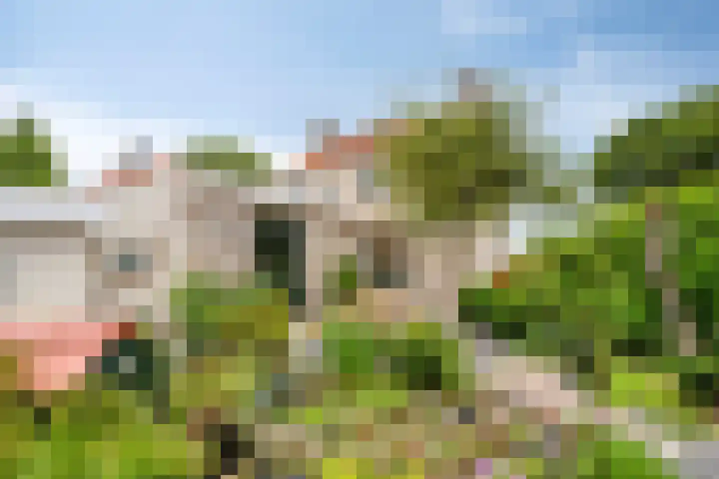 Sasdijk 8 Dinteloord thumbnail 53