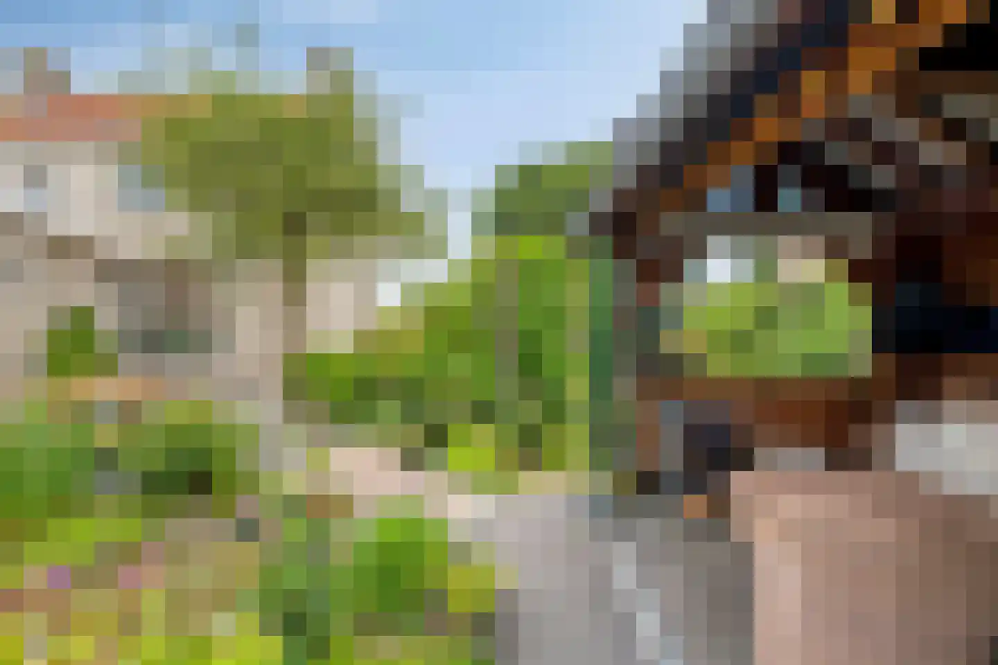 Sasdijk 8 Dinteloord thumbnail 54