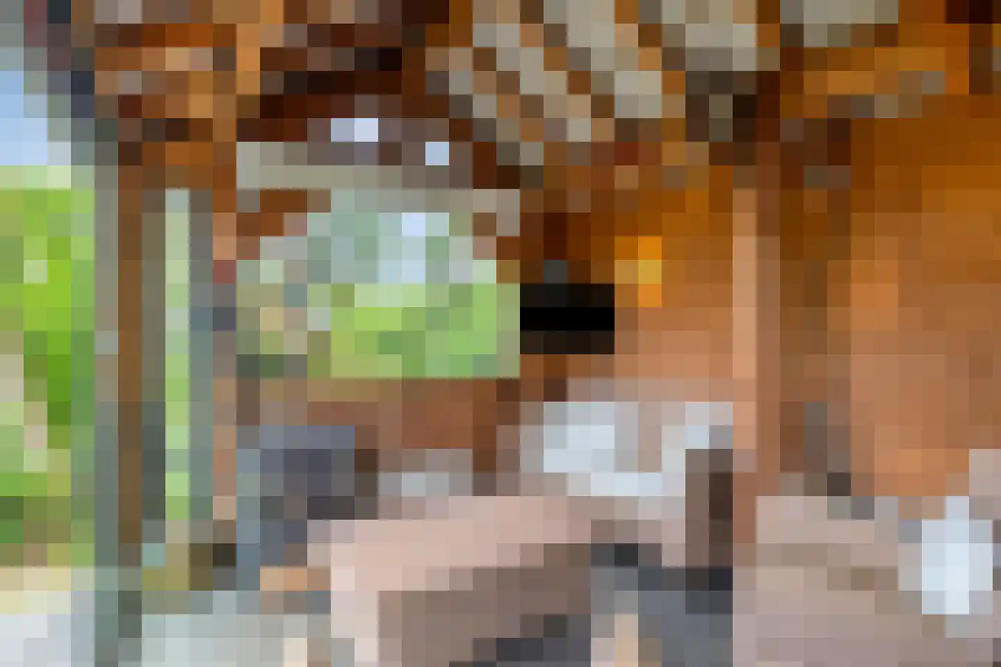 Sasdijk 8 Dinteloord thumbnail 55