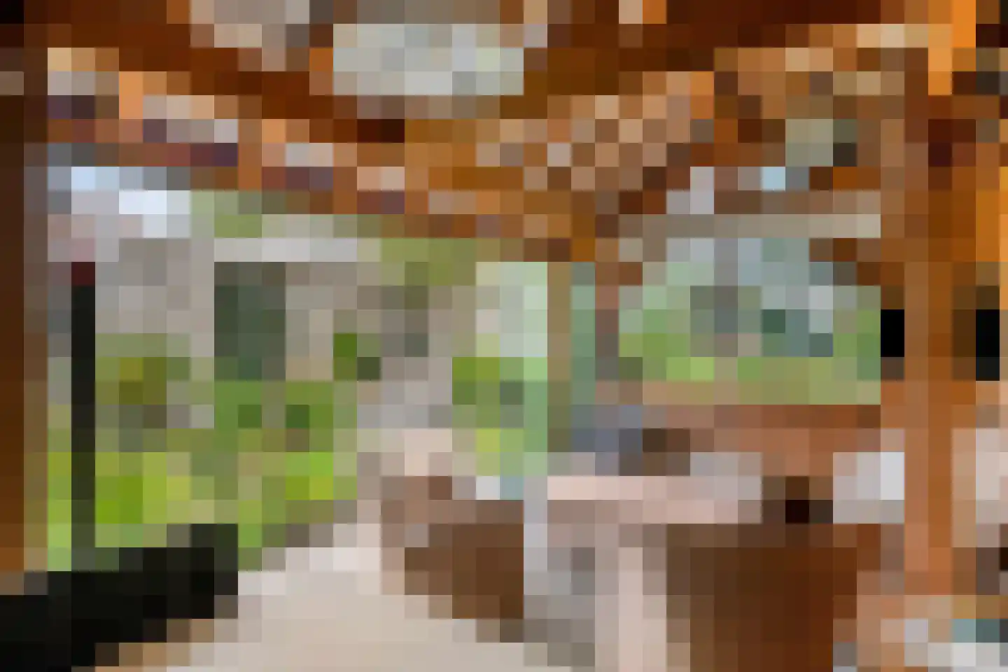 Sasdijk 8 Dinteloord thumbnail 56