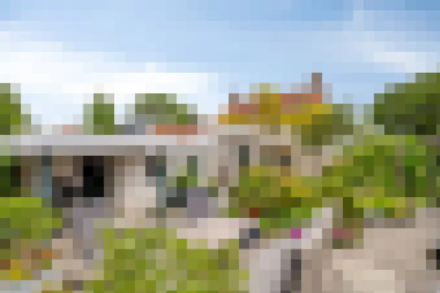Sasdijk 8 Dinteloord thumbnail 58