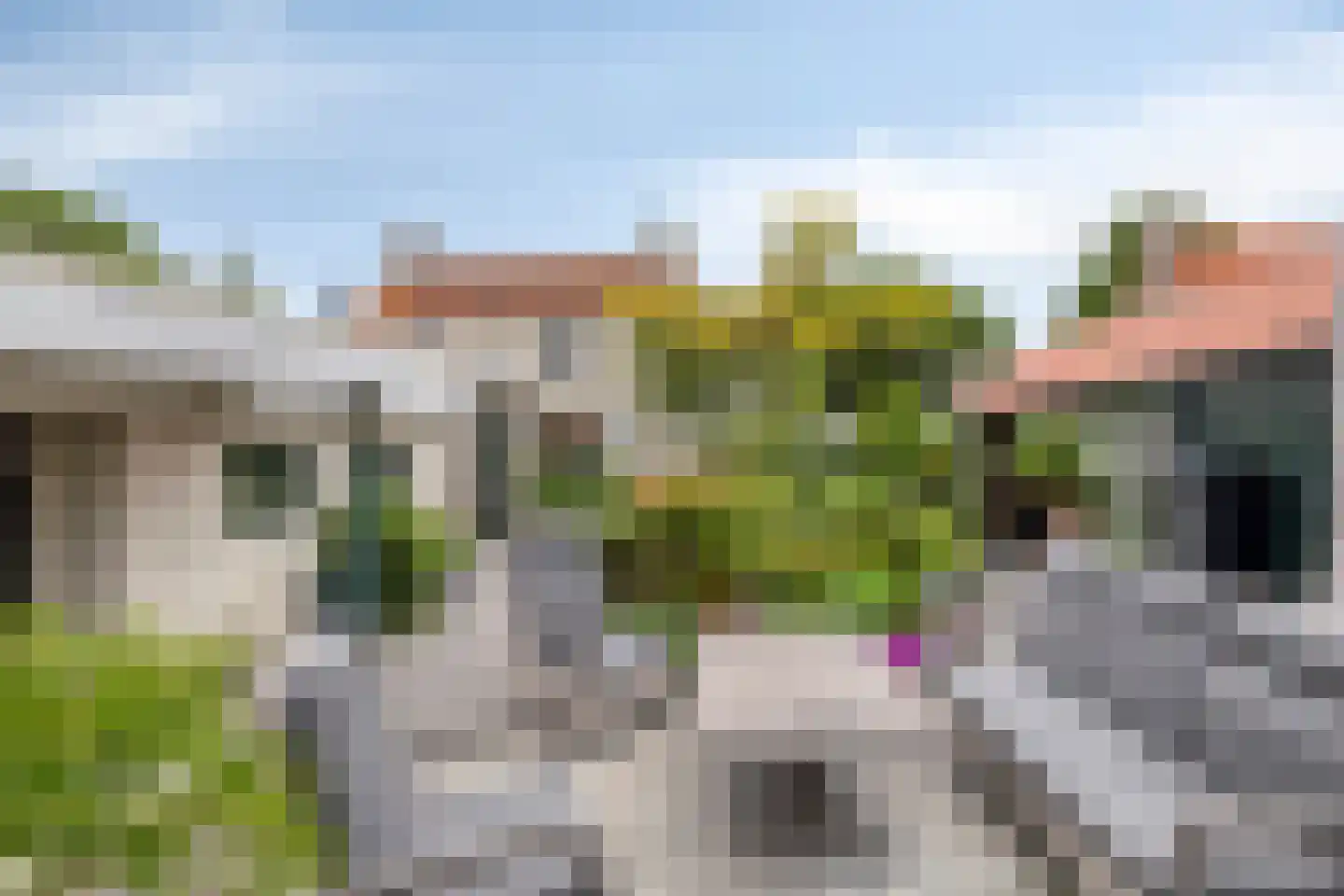 Sasdijk 8 Dinteloord thumbnail 59