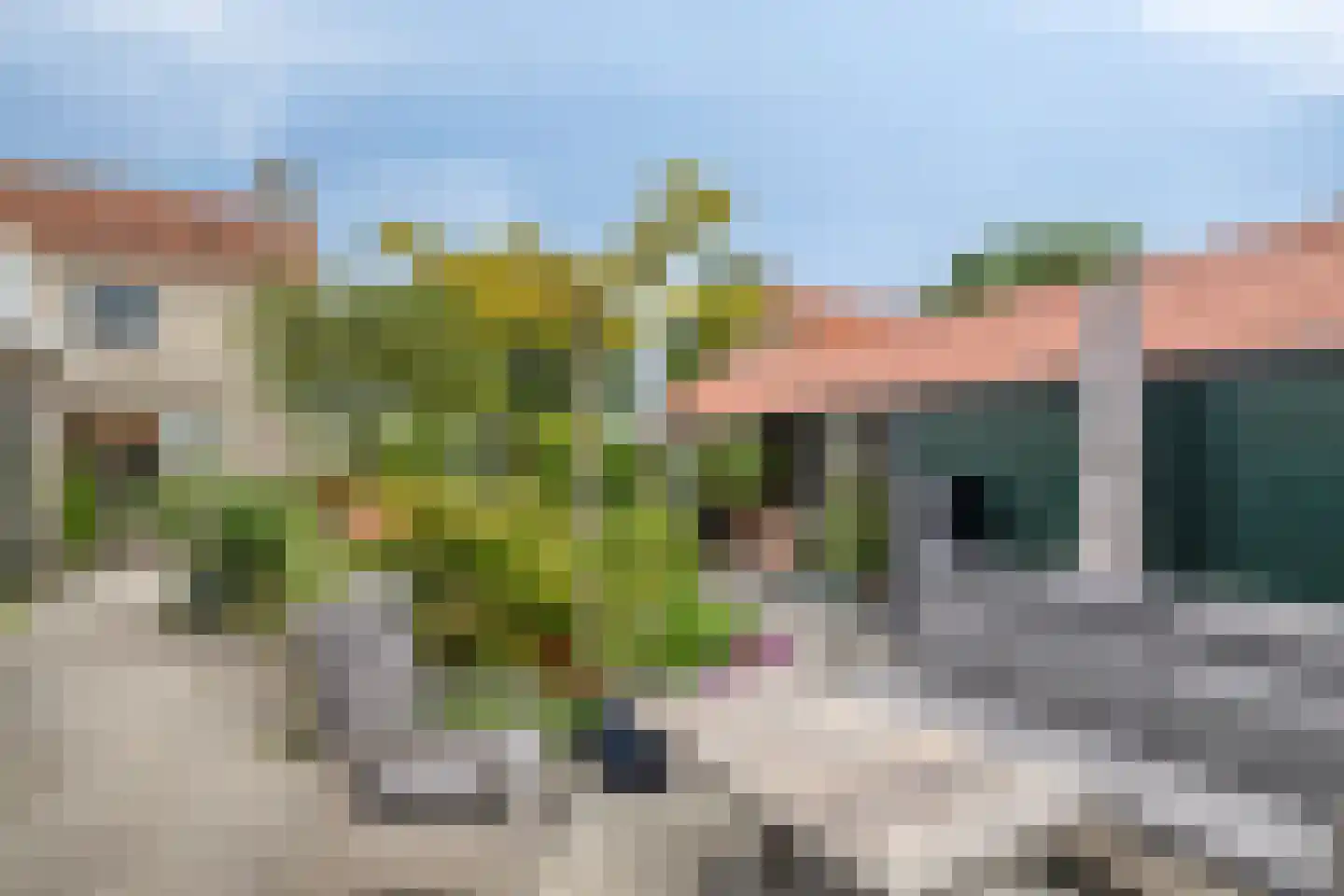 Sasdijk 8 Dinteloord thumbnail 60