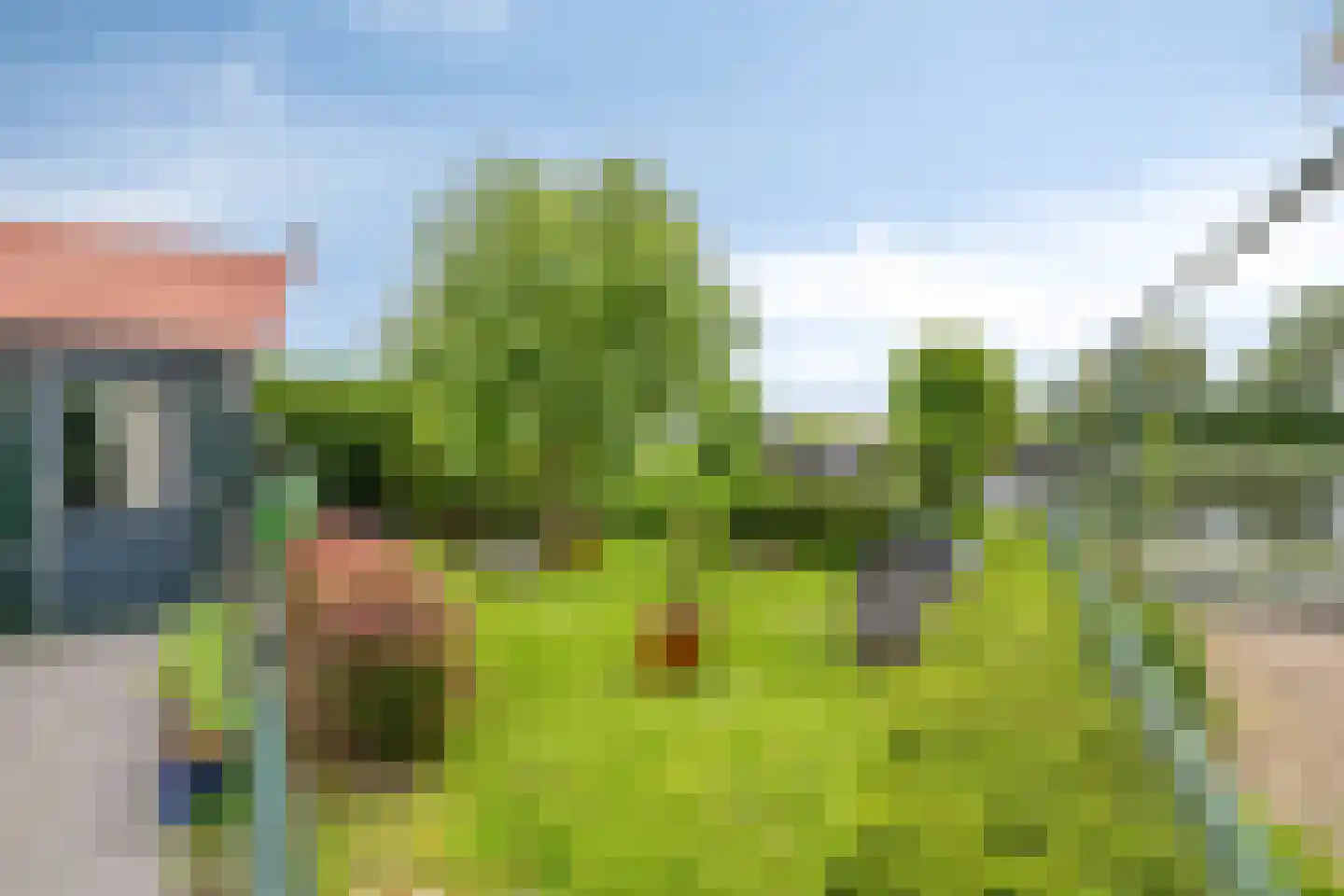 Sasdijk 8 Dinteloord thumbnail 61