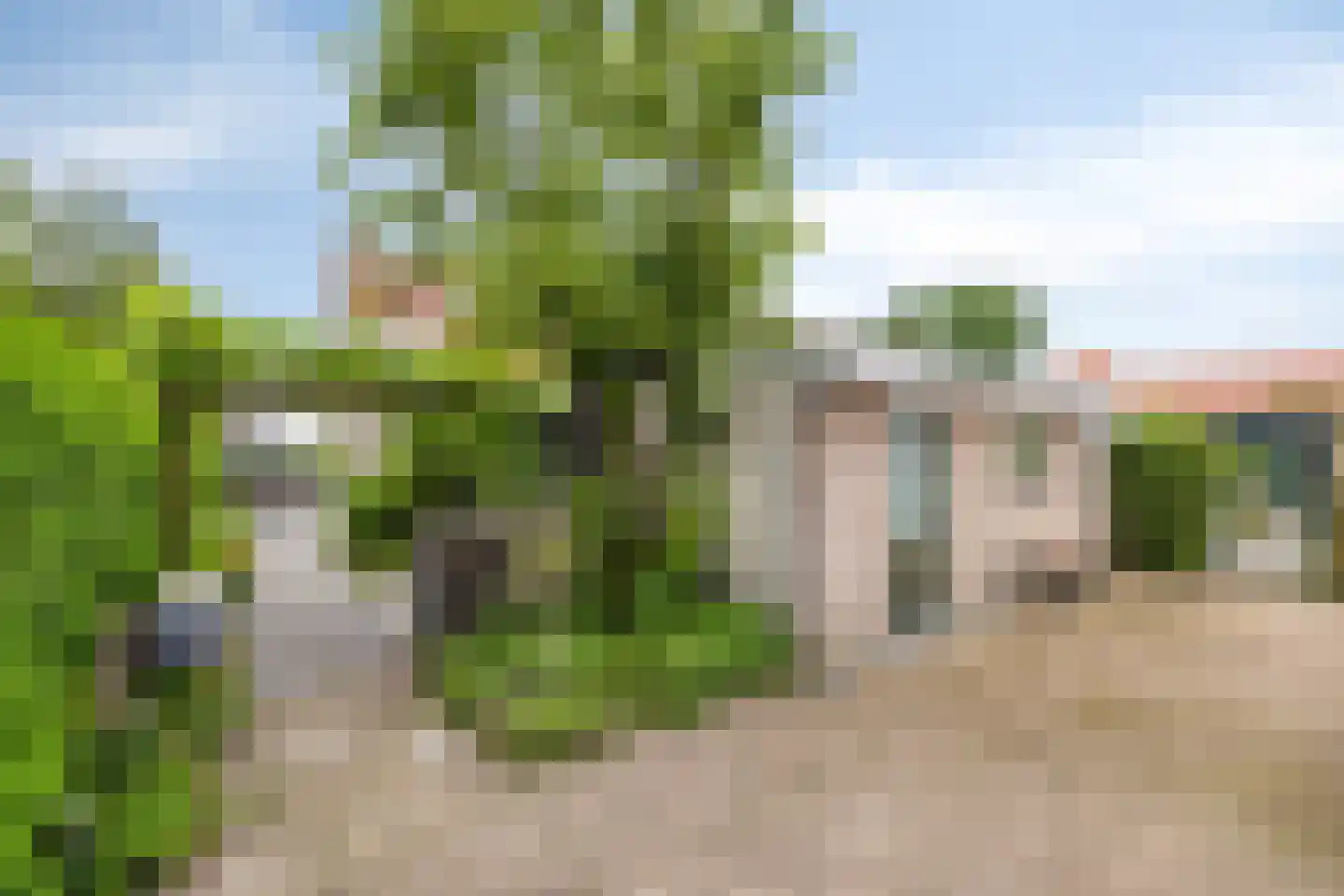 Sasdijk 8 Dinteloord thumbnail 62
