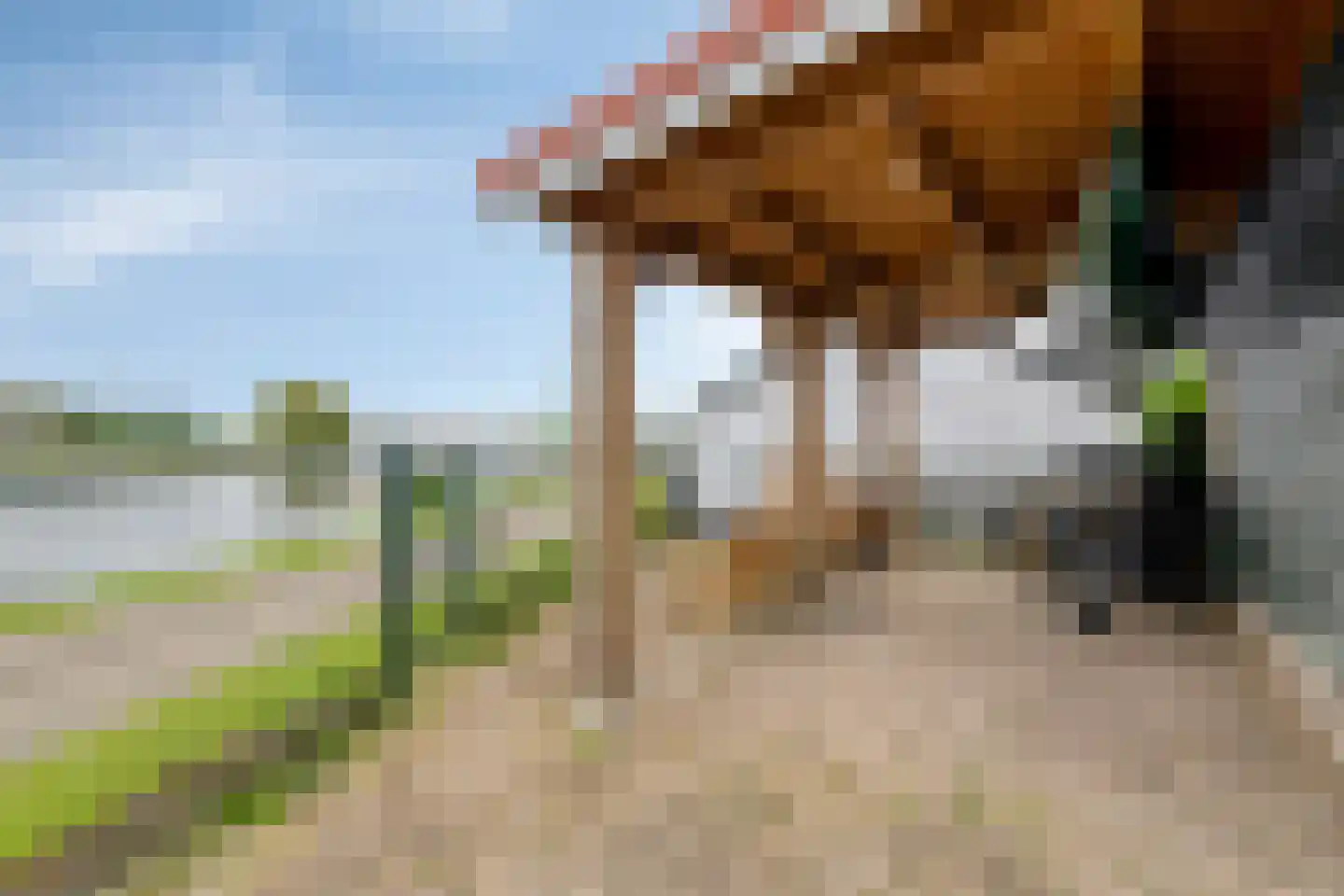 Sasdijk 8 Dinteloord thumbnail 68