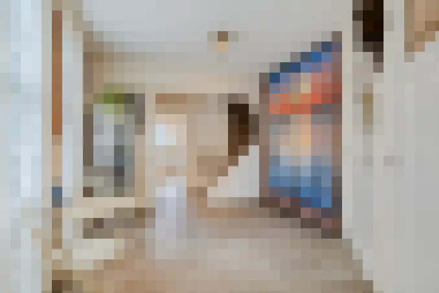 Sasdijk 8 Dinteloord thumbnail 7