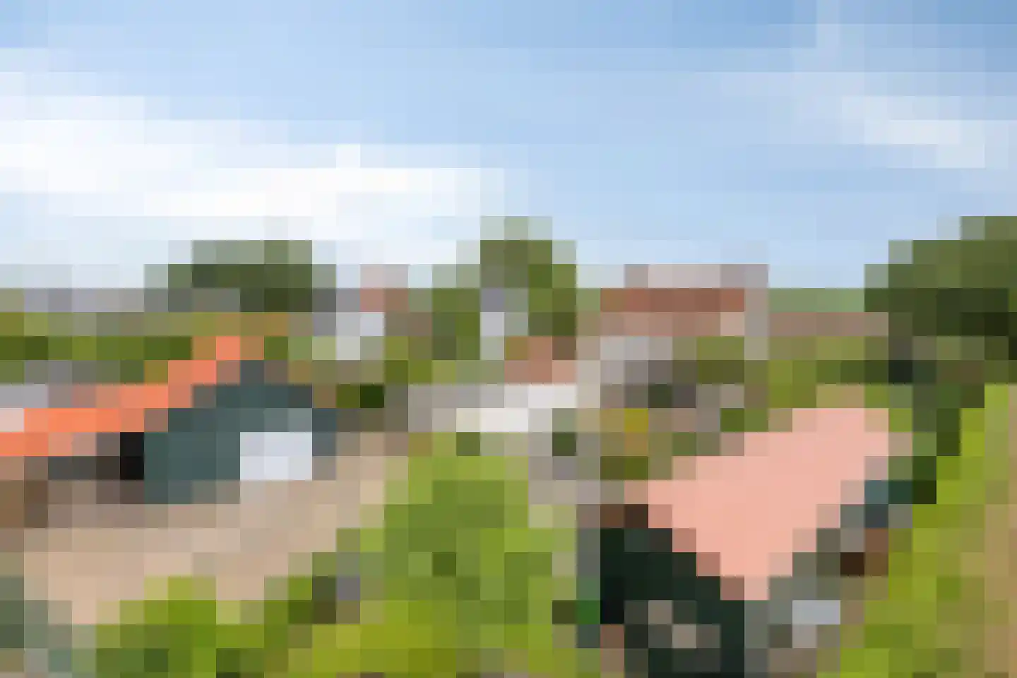 Sasdijk 8 Dinteloord thumbnail 73