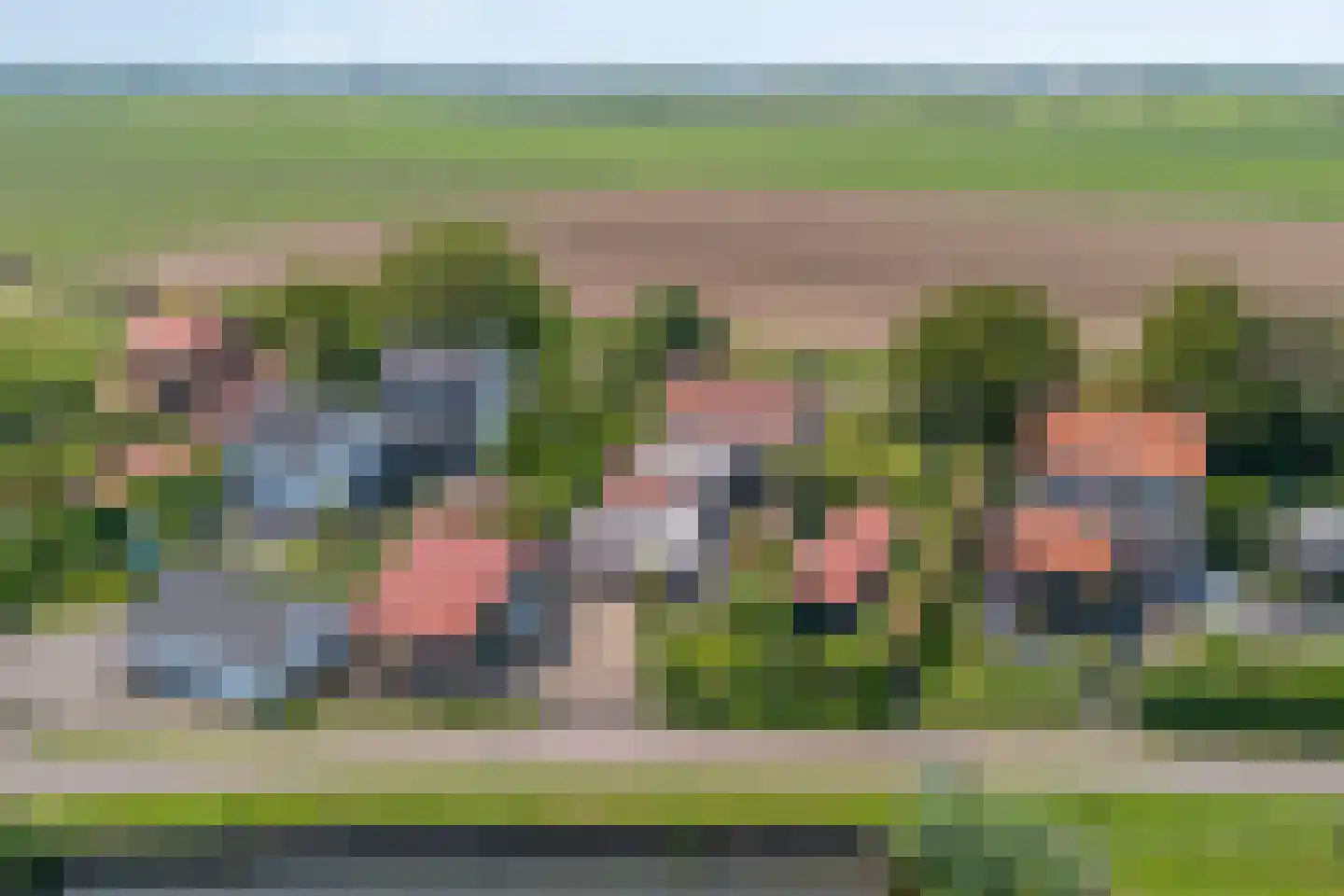 Sasdijk 8 Dinteloord thumbnail 74
