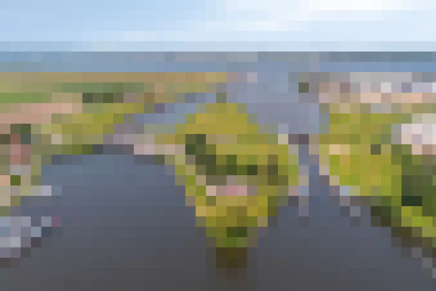 Sasdijk 8 Dinteloord thumbnail 77