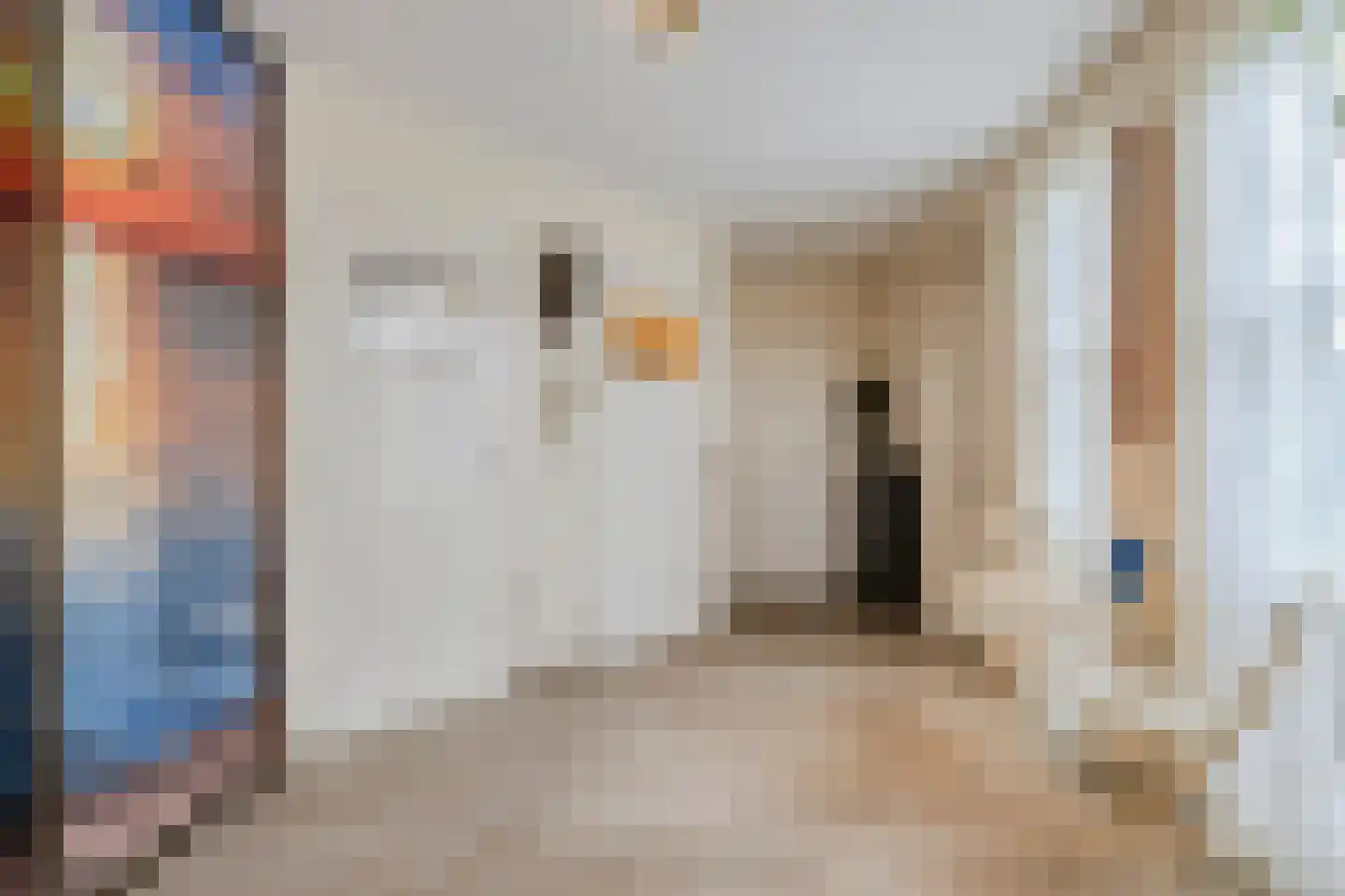 Sasdijk 8 Dinteloord thumbnail 8