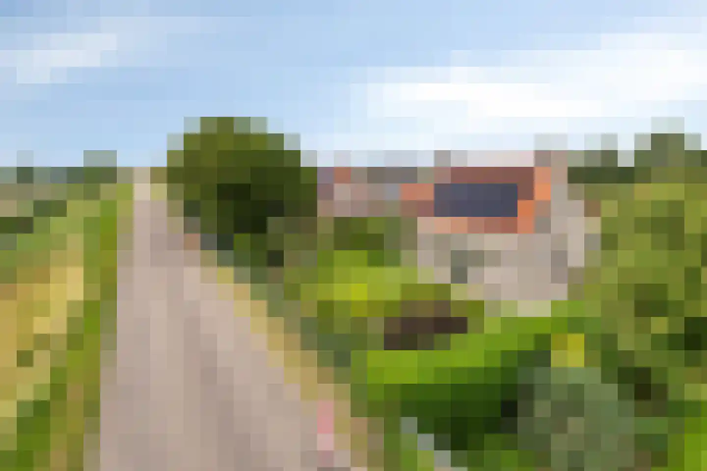 Sasdijk 8 Dinteloord thumbnail 80
