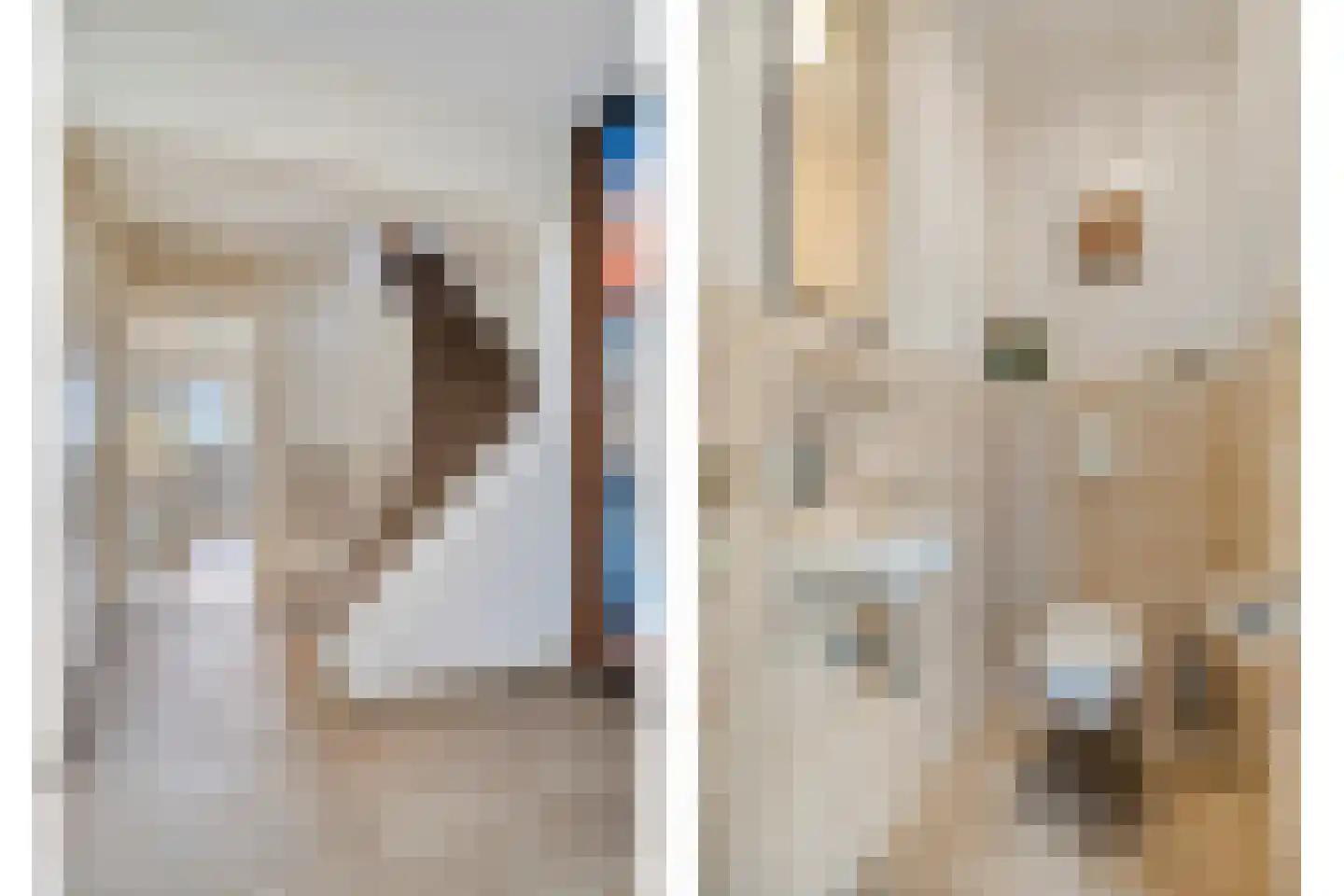 Sasdijk 8 Dinteloord thumbnail 9