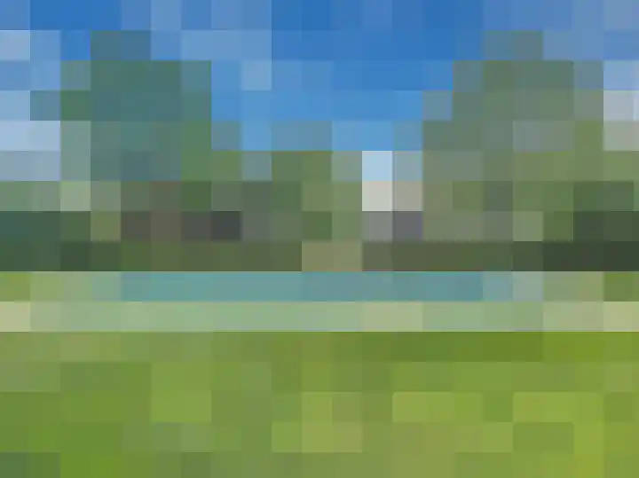 Sasdijkweg 3 Vogelwaarde thumbnail 10