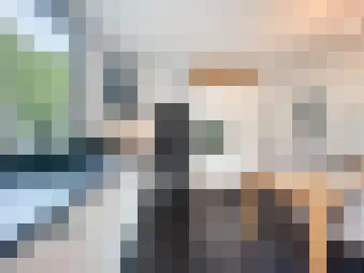 Sasdijkweg 3 Vogelwaarde thumbnail 11