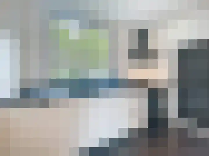 Sasdijkweg 3 Vogelwaarde thumbnail 12