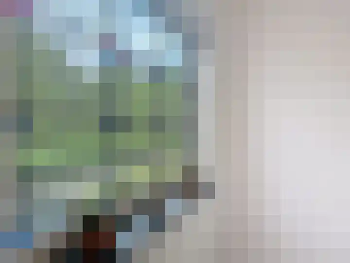 Sasdijkweg 3 Vogelwaarde thumbnail 16
