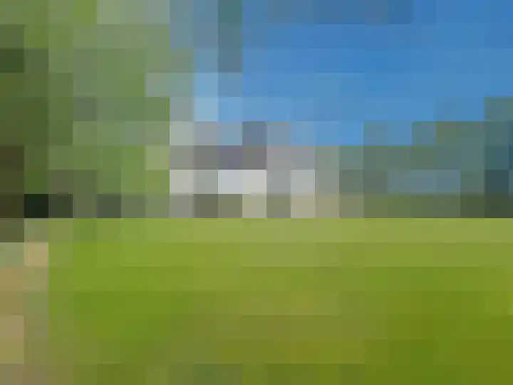 Sasdijkweg 3 Vogelwaarde thumbnail 24