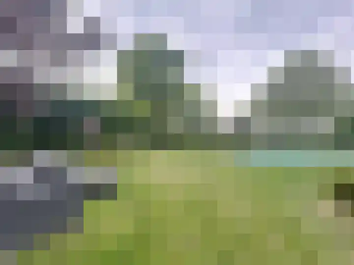 Sasdijkweg 3 Vogelwaarde thumbnail 25