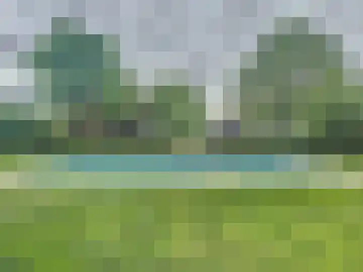 Sasdijkweg 3 Vogelwaarde thumbnail 26