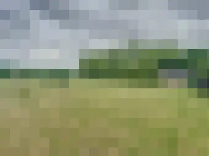Sasdijkweg 3 Vogelwaarde thumbnail 28
